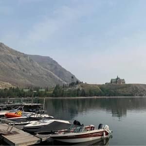 Meet your Posher, Alfie